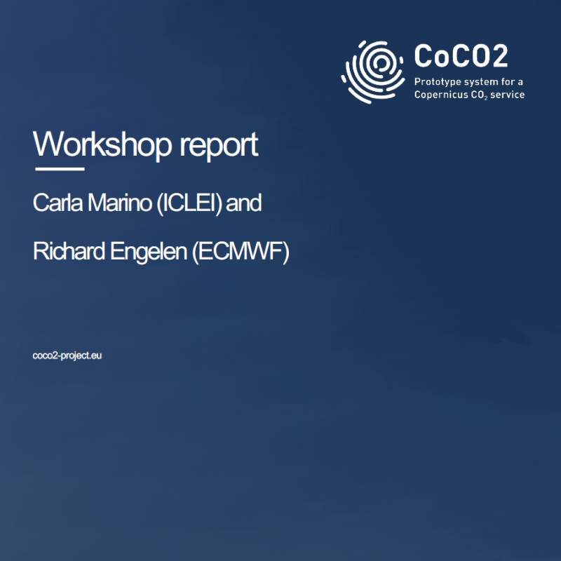 Workshop report